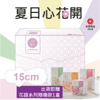 清新系列-日常護墊15cm單盒入(56片) 